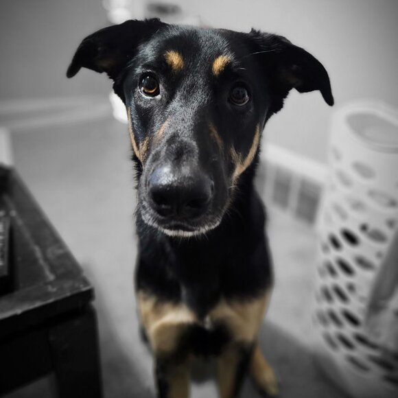 💥10/30 @ 8:40 AM EST Come Hang With Us!! Like This Flyer!!🎈 - Picture 8 of 11